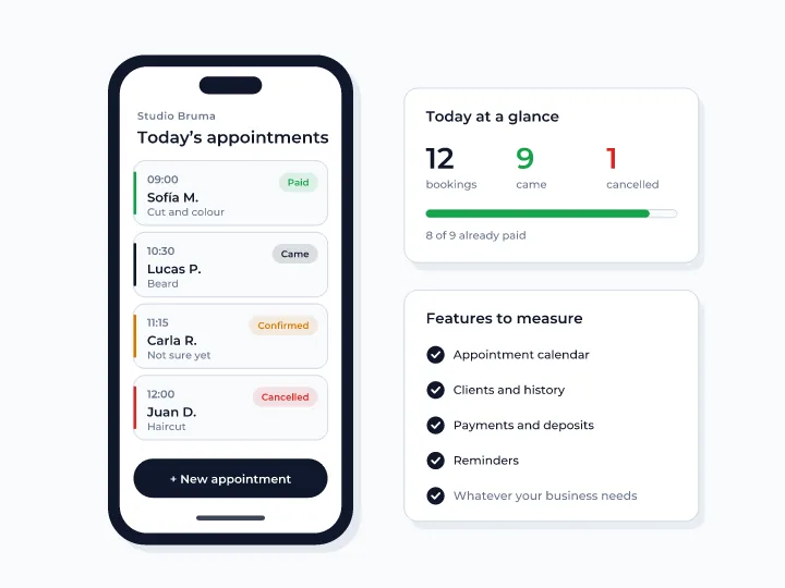 Example of a micro app for a hair salon: today’s appointments with who came, who cancelled and who paid